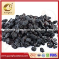 Sales Promotion New Crop Colorful Raisins